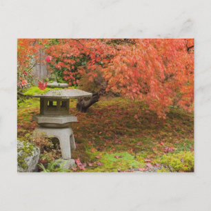 Cartão Postal WA, Seattle, Arboreto do Parque Washington, Japonê