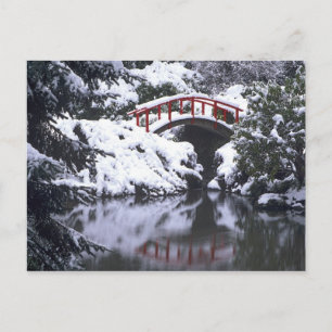 Cartão Postal WA, Seattle, Ponte da Lua e lago após o inverno 2