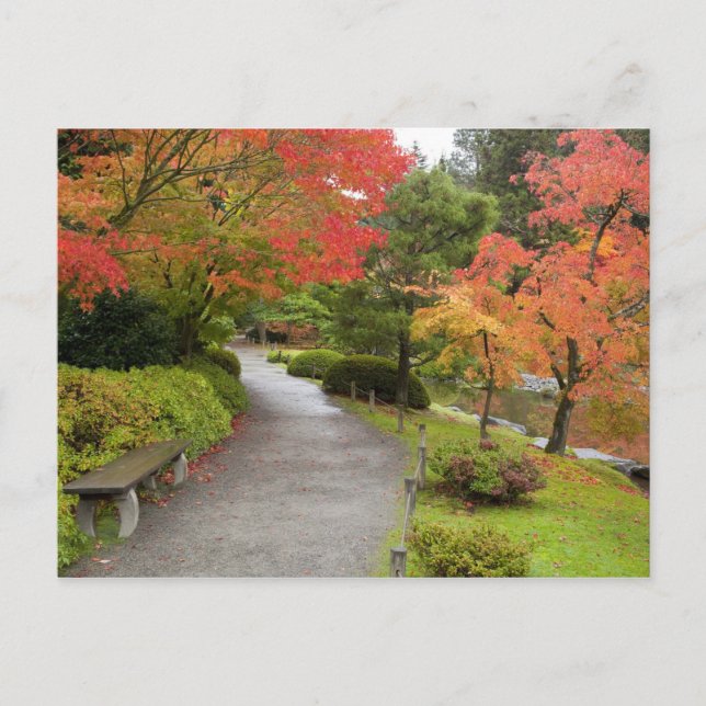 Cartão Postal WA, Seattle, Washington Park Arboretum, 2 (Frente)