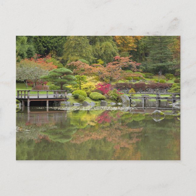 Cartão Postal WA, Seattle, Washington Park Arboretum, 3 (Frente)