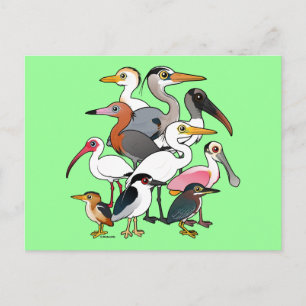 Cartão Postal Waders norte-americanos