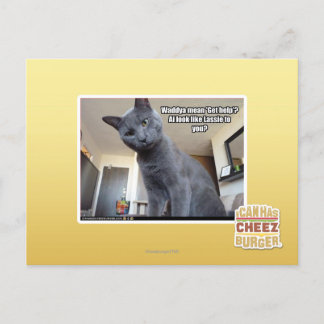 Cartão Postal Wadya quer dizer "Busca ajuda"?