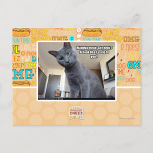 Cartão Postal Wadya quer dizer "Busca ajuda"?