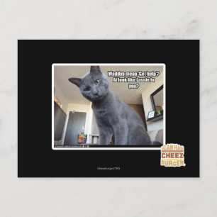 Cartão Postal Wadya quer dizer "Busca ajuda"?