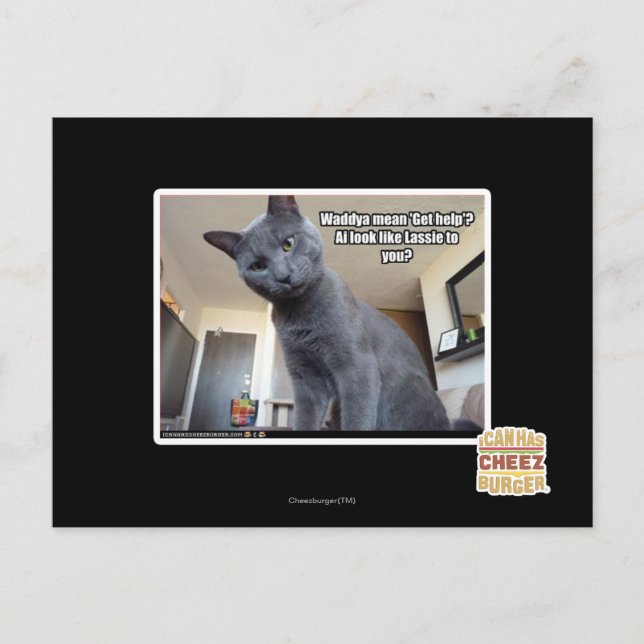 Cartão Postal Wadya quer dizer "Busca ajuda"? (Frente)