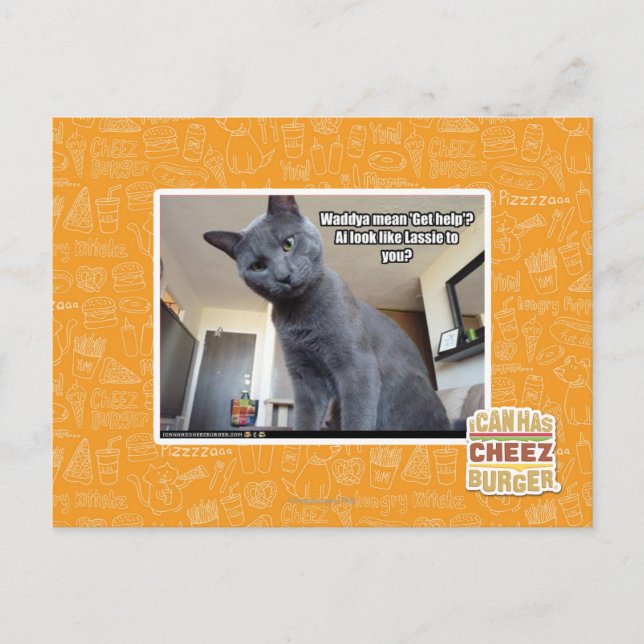 Cartão Postal Wadya quer dizer "Busca ajuda"? (Frente)