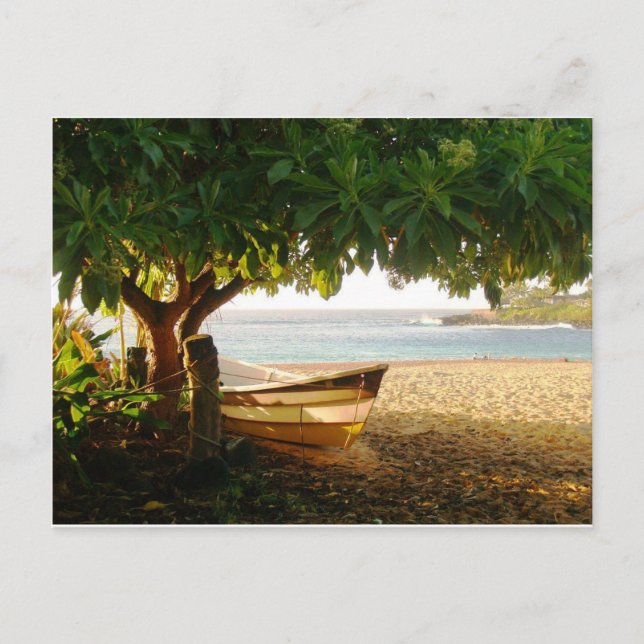 Cartão Postal Waimea Bay Summer Eve Foto de Daniela Power (Frente)