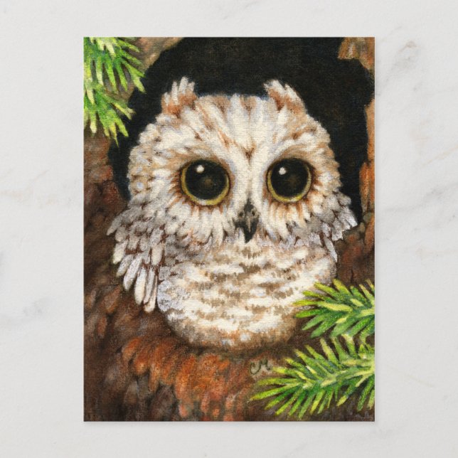Cartão Postal Wake Up, Little Owl - Cute Bird Art Postcard (Frente)
