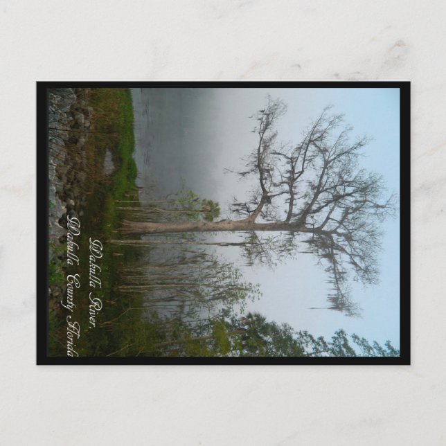 Cartão postal Wakulla County Florida (Frente)