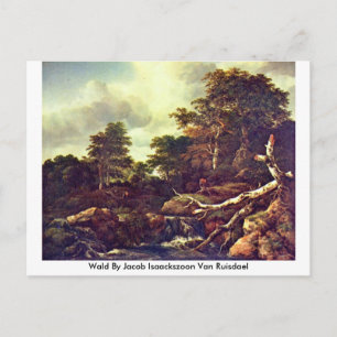 Cartão Postal Wald Por Jacob Isaackszoon Van Ruisdael