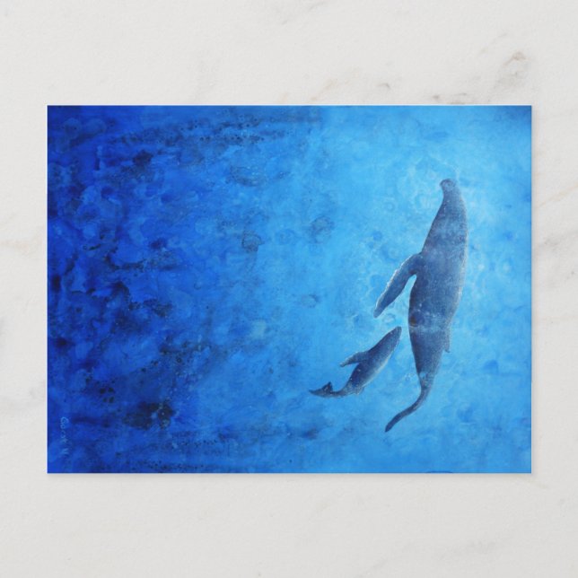 Cartão Postal Wale (Frente)