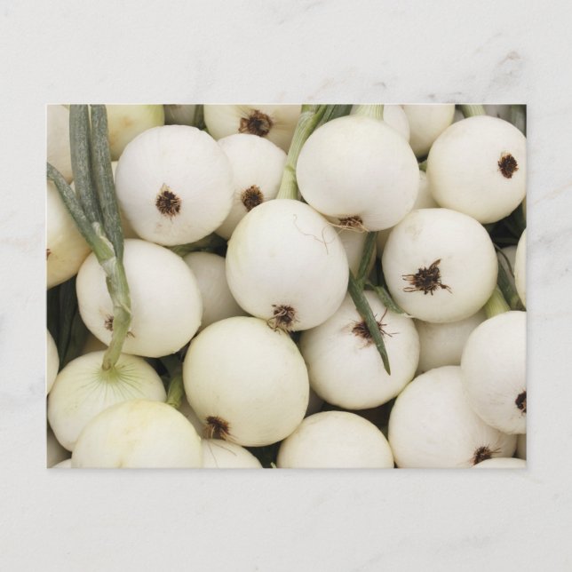 Cartão Postal Walla Walla Sweet Onions (Frente)