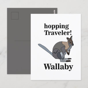Cartão Postal Wallaby Animal Saltitante Viajante Vida Selvagem E