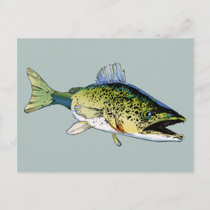 Cartão Postal Walleye