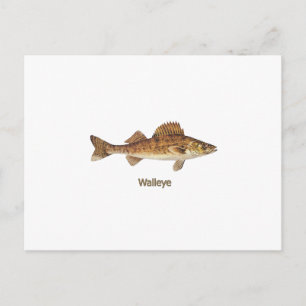 Cartão Postal Walleye Art
