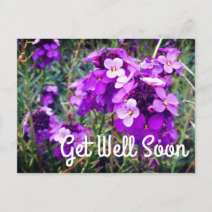 Cartão postal Wallflower Bowles Mauve #1 Desejando