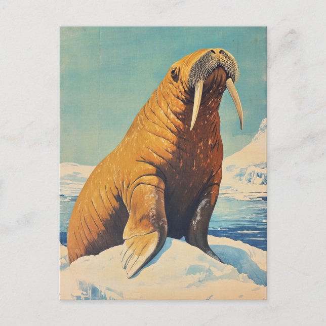 Cartão Postal Walrus vintage (Frente)