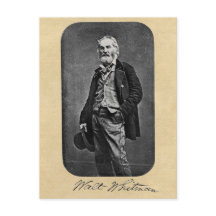 Walt Whitman, 41 anos, Retrato