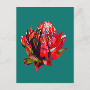 Cartão Postal Waratah, cor-de-água natural da Austrália