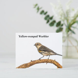 Cartão Postal Warbler Amarelo