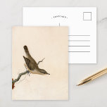 Cartão Postal Warbler Reed Wren | William Lewin<br><div class="desc">Warbler; Reed Wren (antes de 1790) | William Lewin's Warbler; Reed Wren é uma pintura delicada e detalhada que apresenta um pequeno aquecedor marrom empoleirado num galho contra um fundo neutro minimalista. A composição cuidadosa do artista das penas moles e da forma esbelta da ave põe em evidência a sua...</div>
