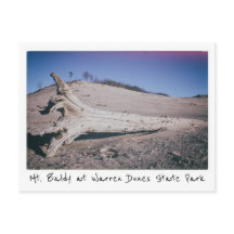 Warren Dunes State Park Mt. Baldy Michigan