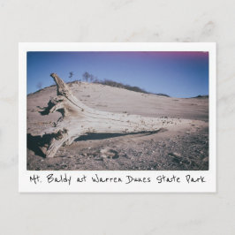 Cartão Postal Warren Dunes State Park Mt. Baldy Michigan