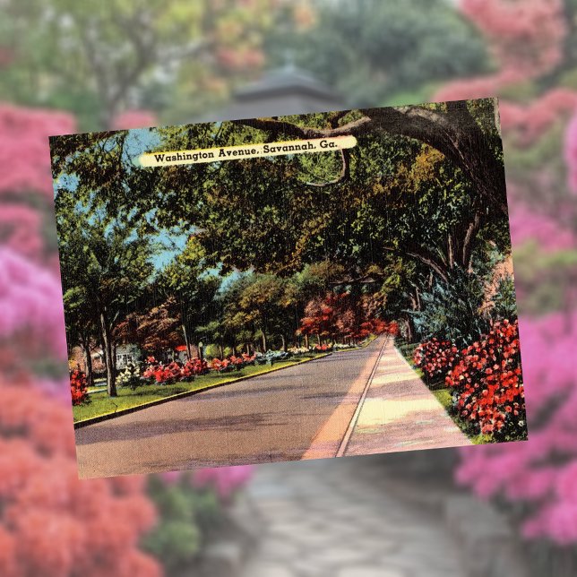 Cartão Postal Washington Avenue Savannah GA histórico (Criador carregado)