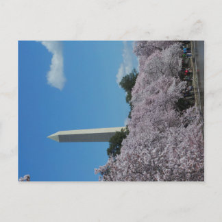 Cartão Postal Washington DC Cherry Blossom 2