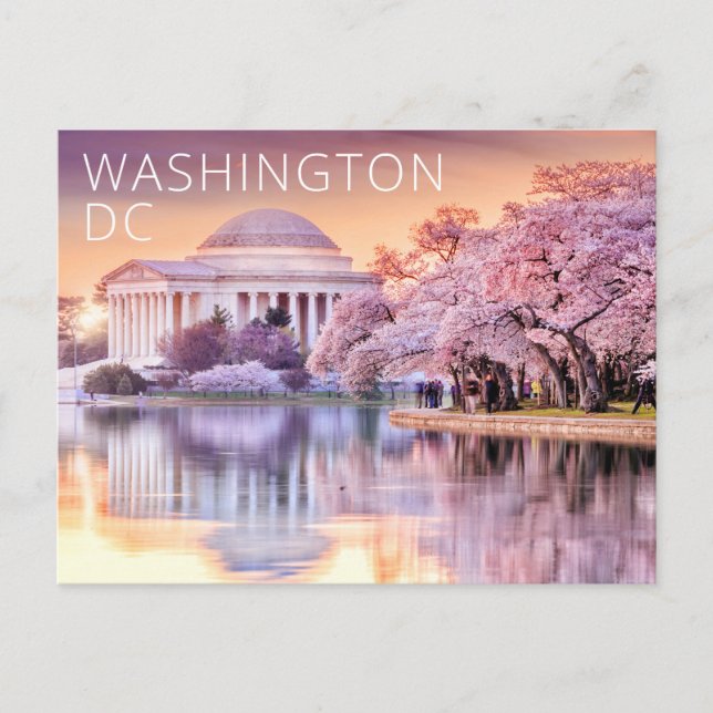Cartão Postal Washington DC Jefferson Memorial Cherry Blossoms (Frente)