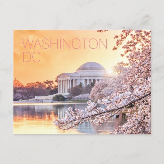 Cartão Postal Washington DC Jefferson Memorial Cherry Blossoms (Frente)