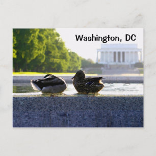 Cartão Postal Washington, DC: Patos no Memorial da II Guerra Mun