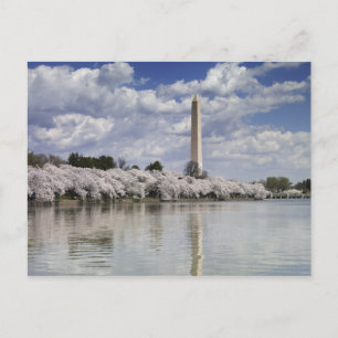 CARTÃO POSTAL WASHINGTON MONUMENT LITHOGRAPAZ