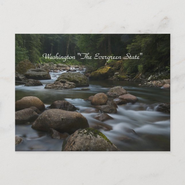 Cartão Postal Washington "O Estado Evergreen" (Frente)