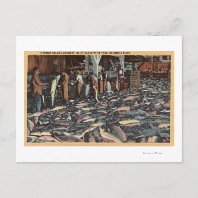 Cartão Postal Washington - Visão Interior de um Salmão (Frente)