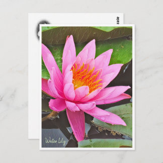 Cartão Postal Water Lily ポストカード