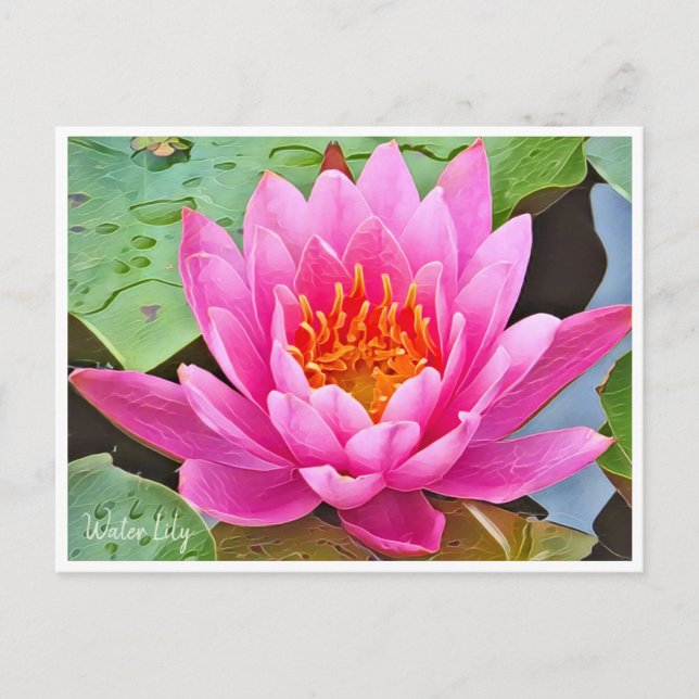 Cartão Postal Water Lily ポストカード (Frente)
