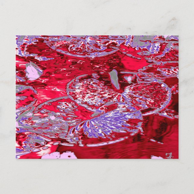 CARTÃO POSTAL WATER LILY POND (Frente)