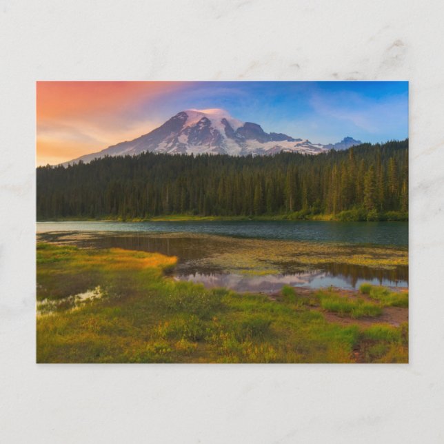 Cartão Postal Water | Mt. Rainier National Park, Washington (Frente)