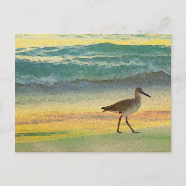 Cartão Postal Watercolor Beach Sunset com Sandpiper (Frente)
