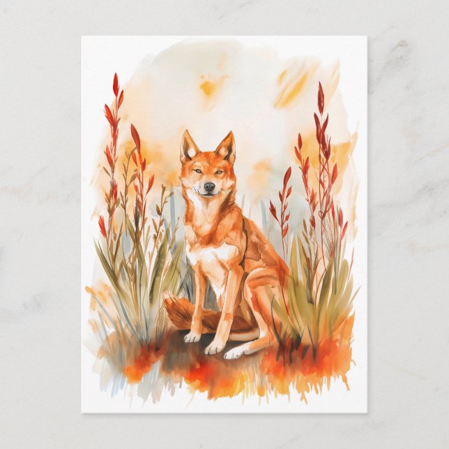 Cartão Postal Watercolor Dingo na Grama (Frente)