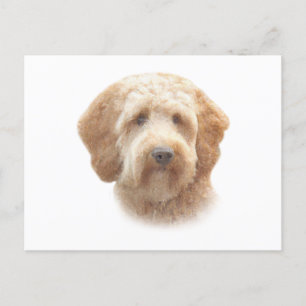 Cartão Postal Watercolor Goldendoodle