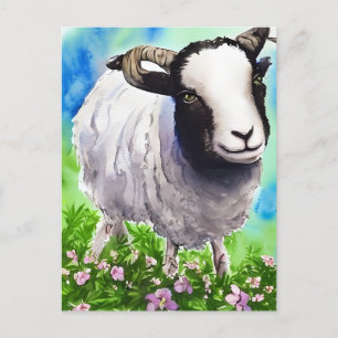 Cartão Postal Watercolor Jacob Sheep