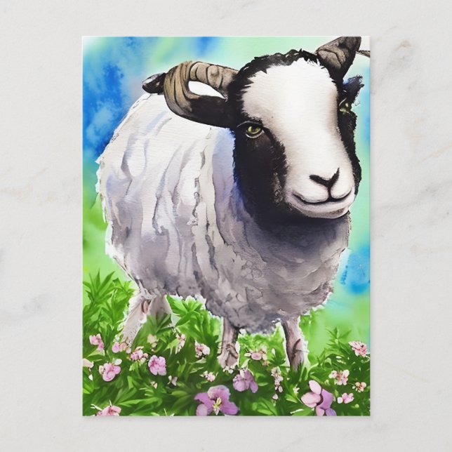 Cartão Postal Watercolor Jacob Sheep (Frente)