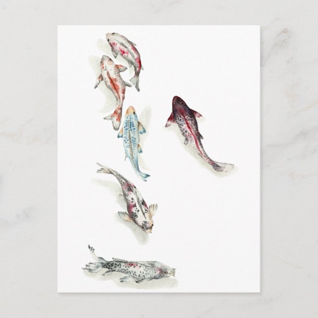 Cartão Postal Watercolor Koi Fish (Frente)