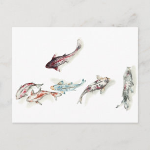 Cartão Postal Watercolor Koi Fish