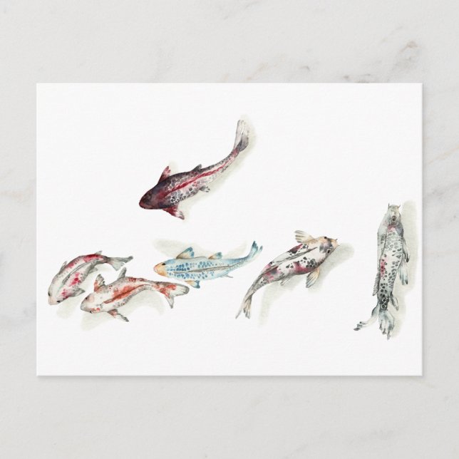 Cartão Postal Watercolor Koi Fish (Frente)