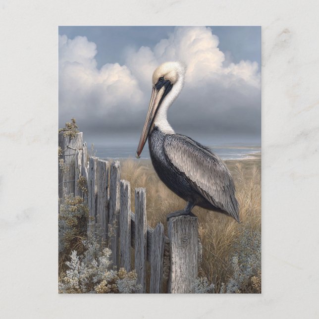 Cartão Postal Watercolor Pelican on a Fence (Frente)