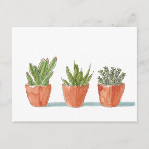 Cartão Postal Watercolor Succultus Cactus Plant