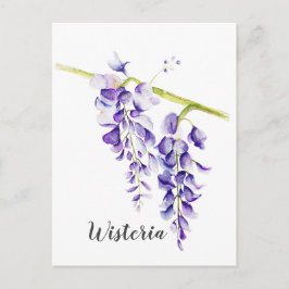 Cartão Postal Watercolor Wisteria Botanical